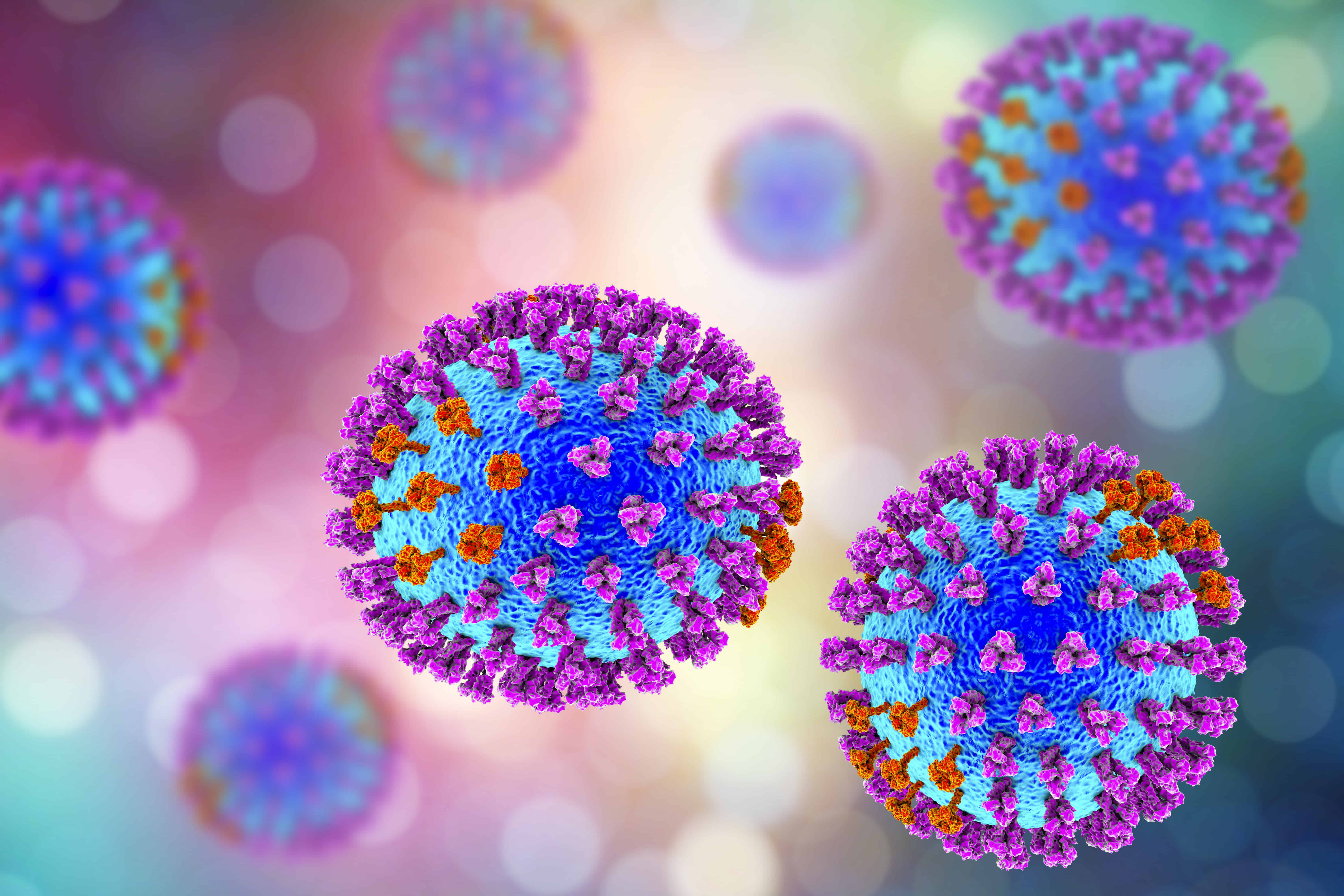 Influenza A H1N1 in New Zealand - Experts respond 