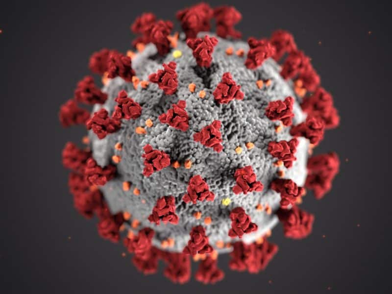 Graphical representation of coronavirus viral particle