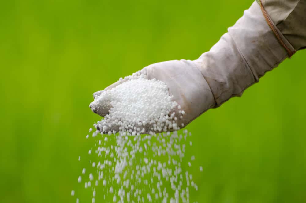 A gloved hand pouring chemical fertilizer against a green background